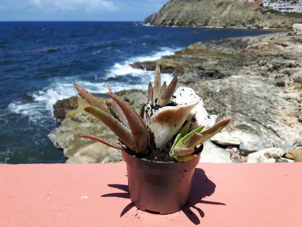 Ocean Shore Philipsburg  Eksteriør billede